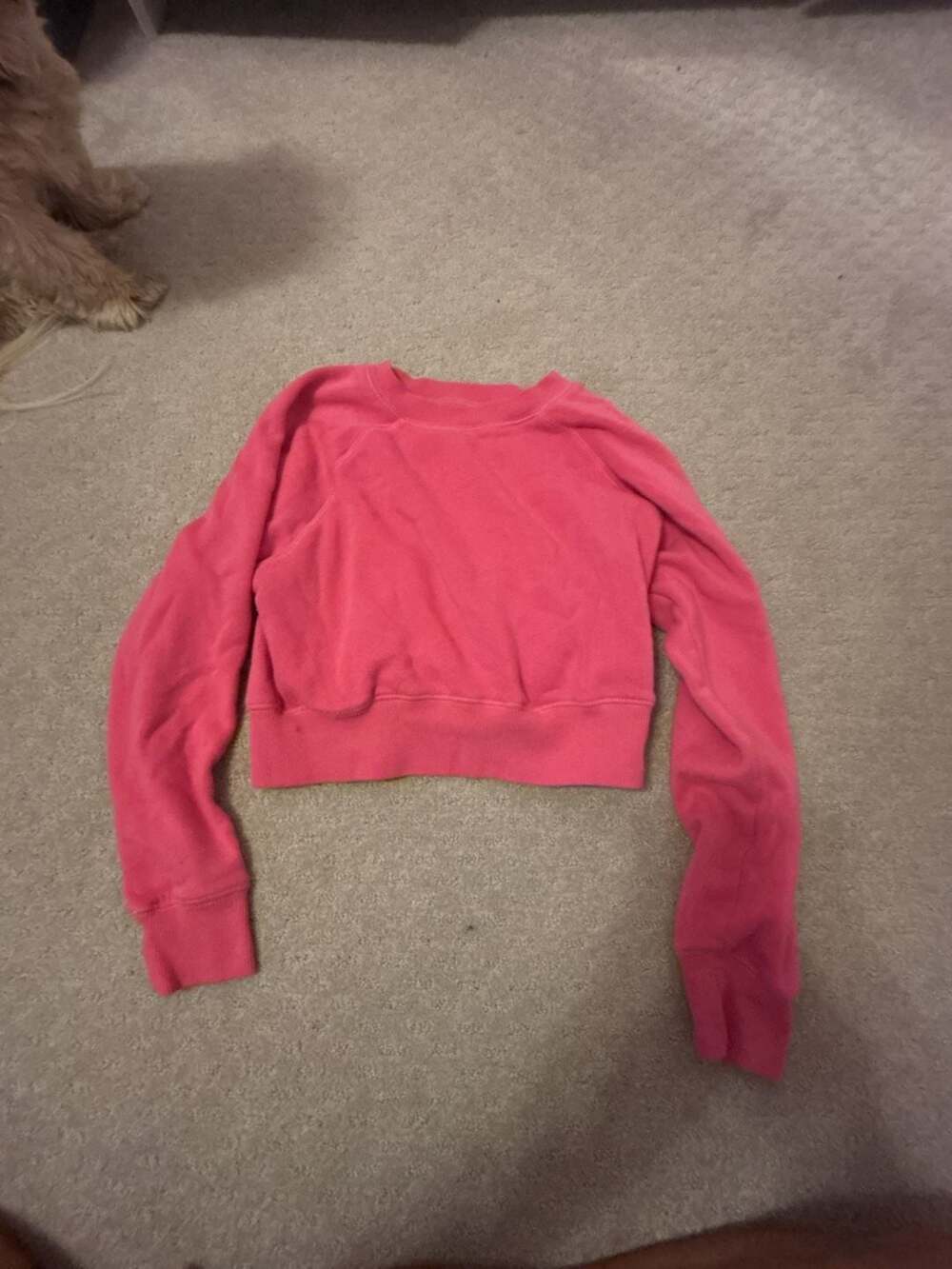 Katie J NYC Pink Cropped Fleece Sweatshirt kids L